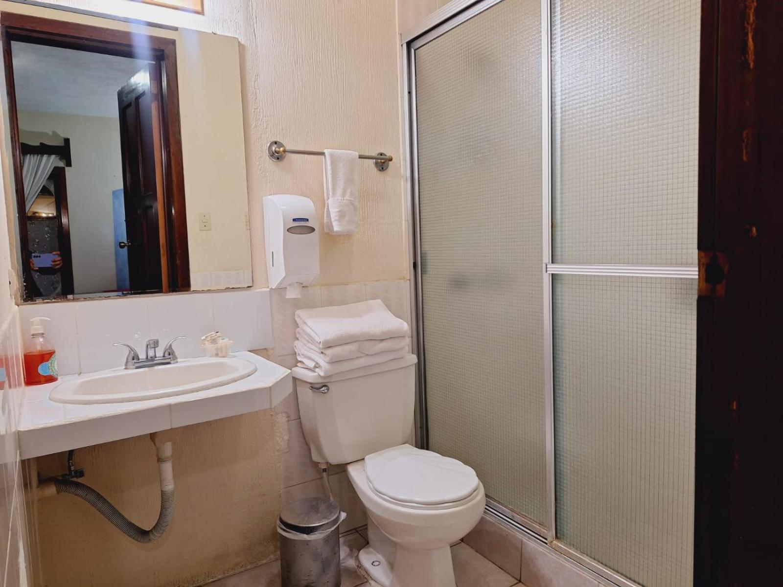 أنتيغوا غواتيمالا Hotel Posada San Miguel المظهر الخارجي الصورة